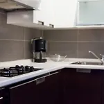 Premium Sanja