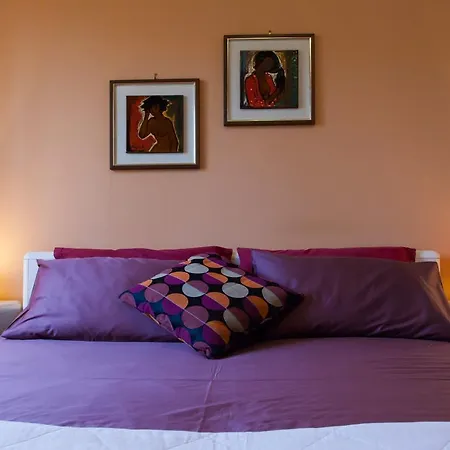 Comfort Premium